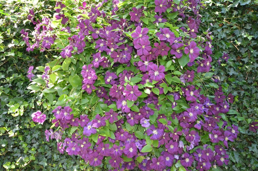 Bed and Breakfast Bloemenhoeve Birdaard Zewnętrze zdjęcie