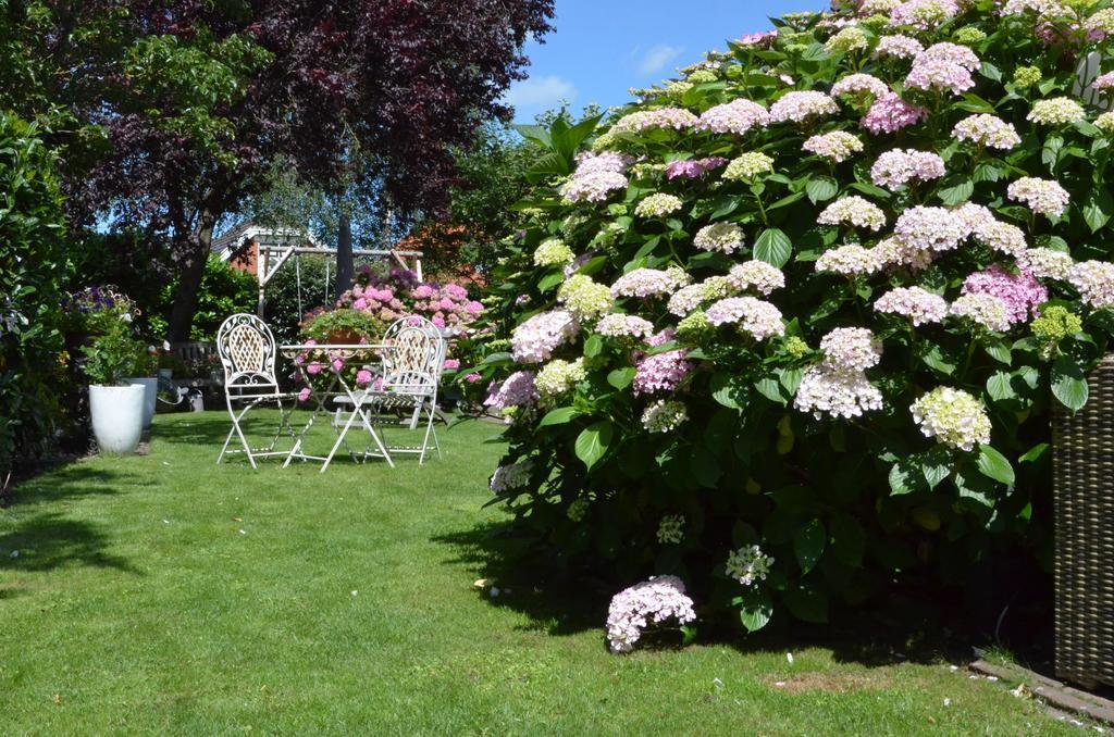 Bed and Breakfast Bloemenhoeve Birdaard Zewnętrze zdjęcie